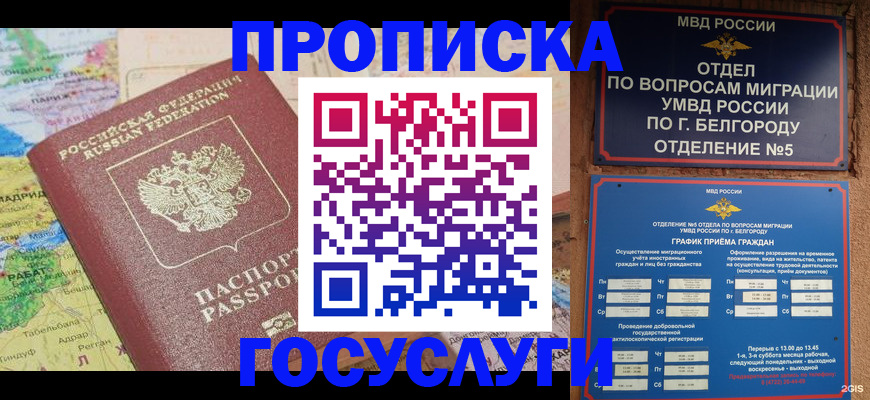 прописка регистрация в Нововоронеже